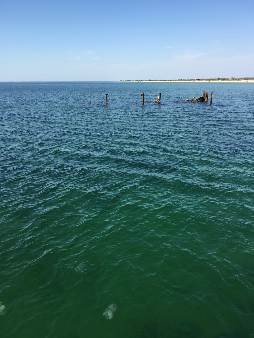 people on sea during daytime