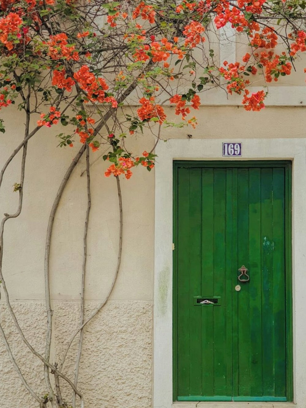 Porte en bois vert avec des fleurs roses sur le dessus