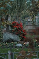 Rock installation creating a natural border around a flower garden in a residential yard.