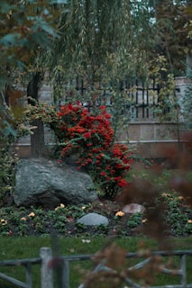 Rock installation creating a natural border around a flower garden in a residential yard.