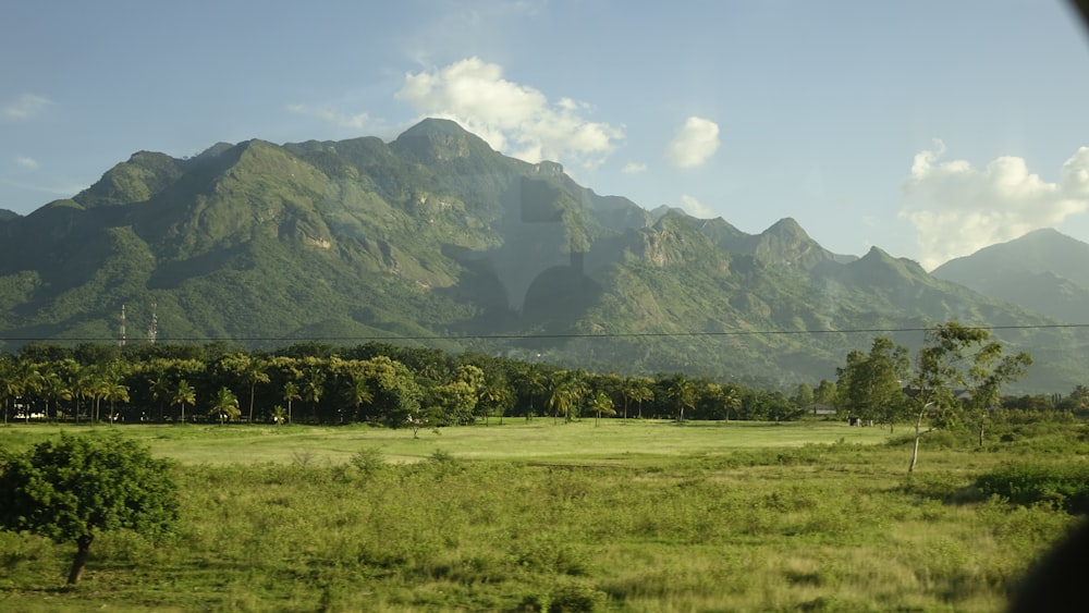 green grass field near green mountain under blue sky during daytime