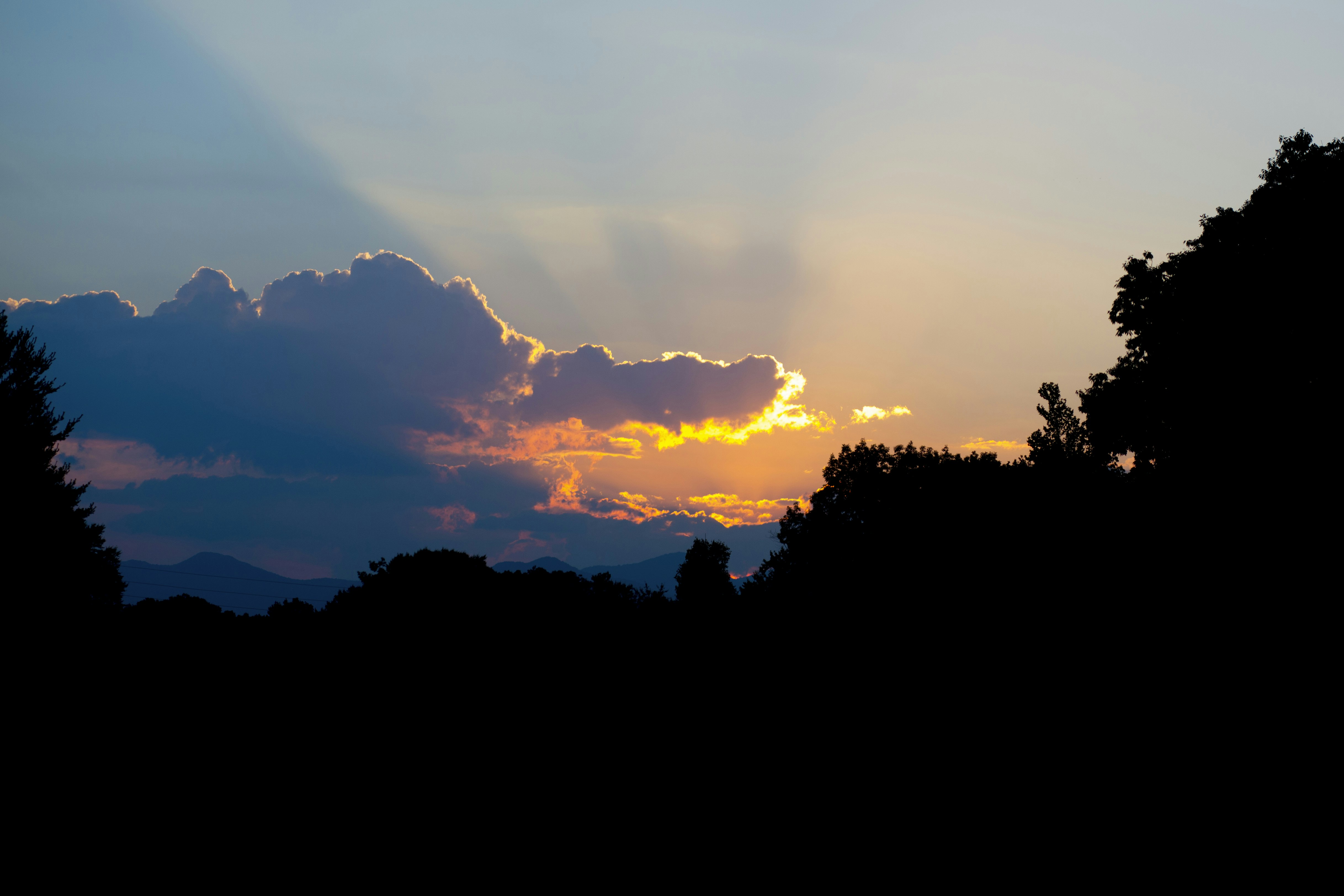 Photo by michael_sturgeon