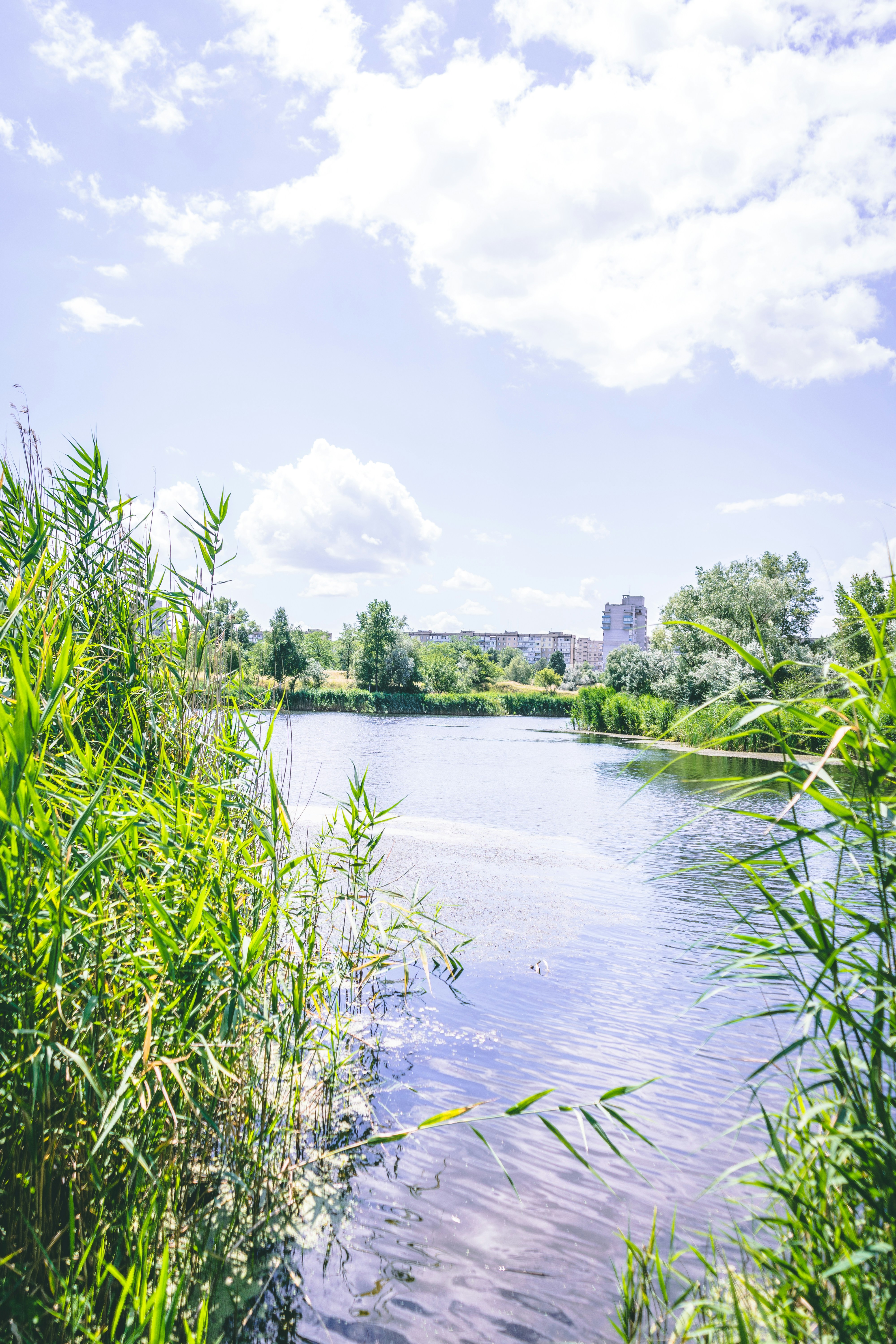 Photo by virussinside