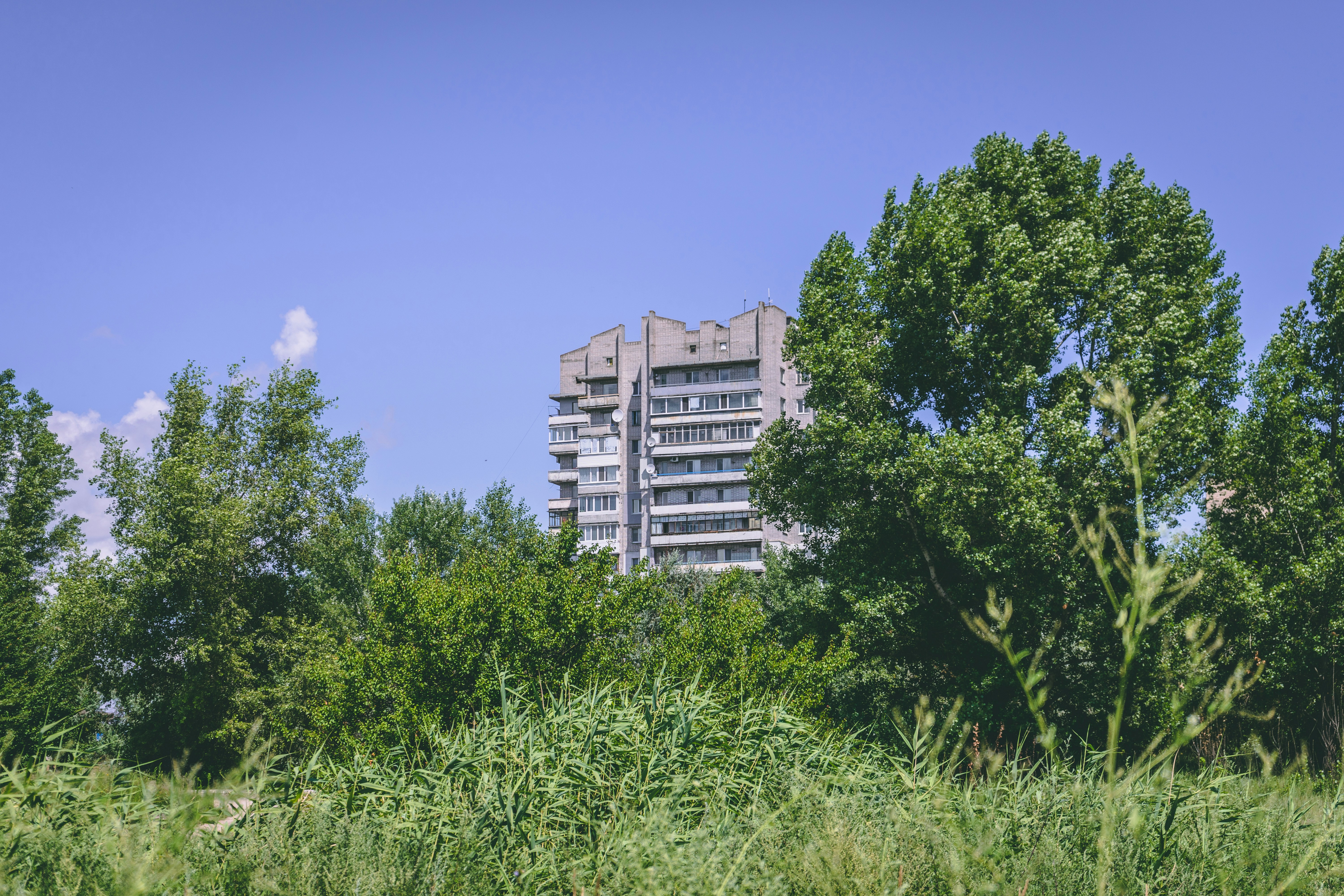 Photo by virussinside