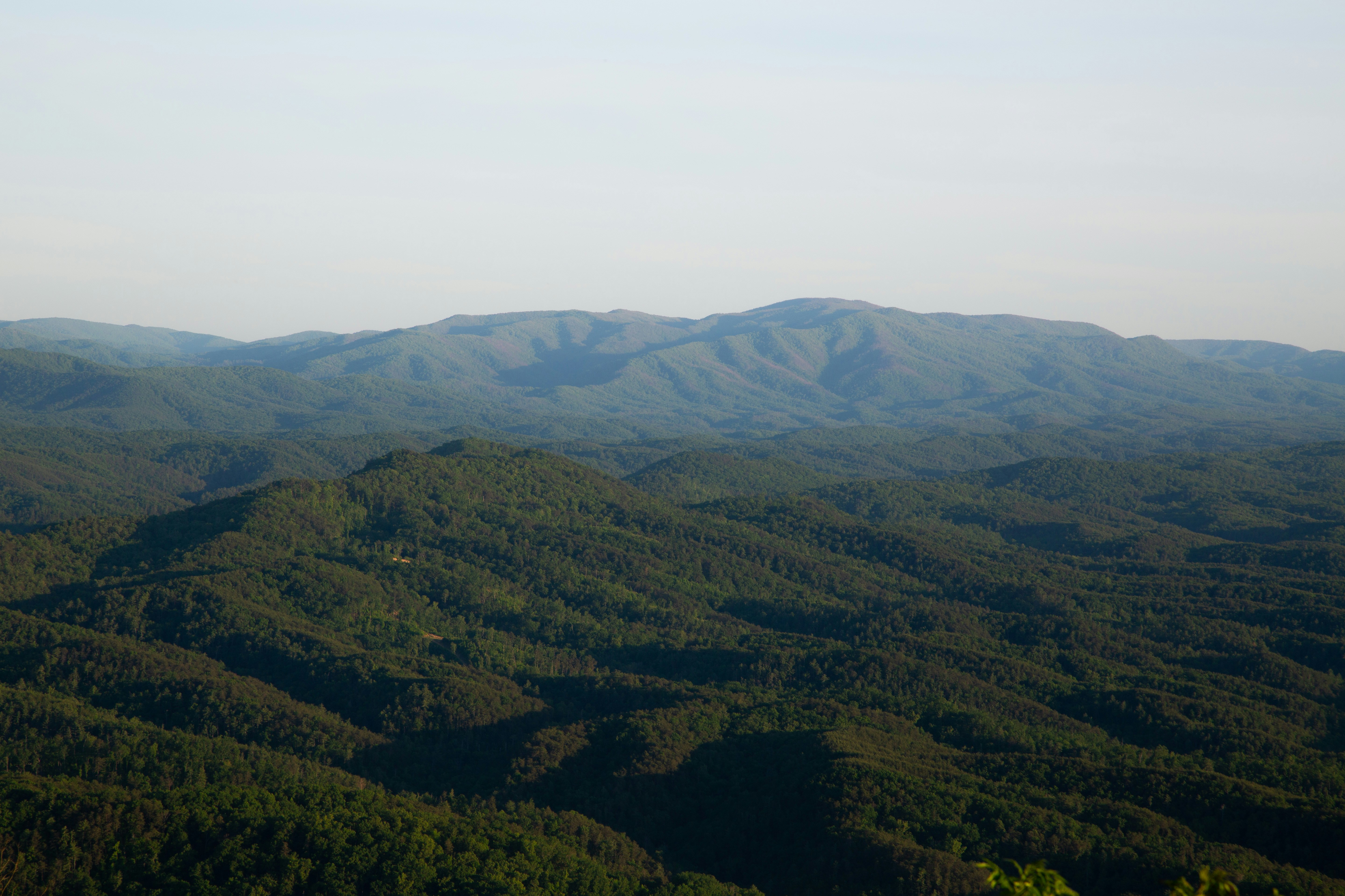 Photo by michael_sturgeon