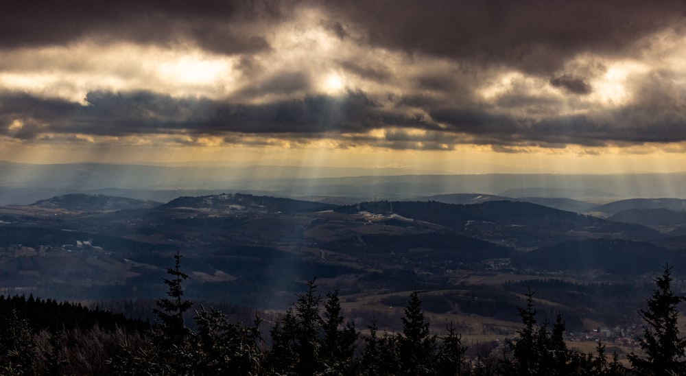 arbres verts sur la montagne sous ciel nuageux pendant la journée