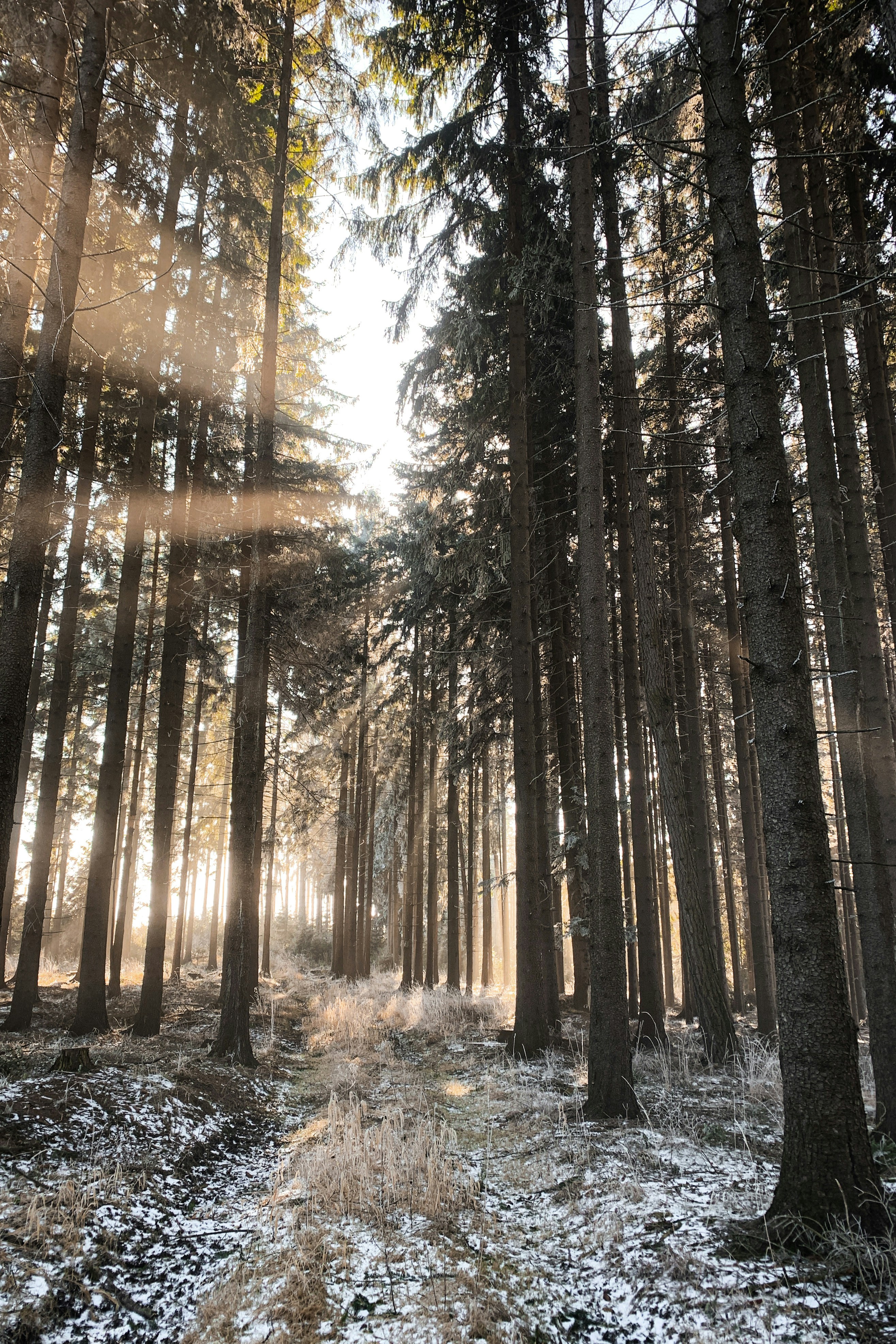 Photo by kekse_und_ich