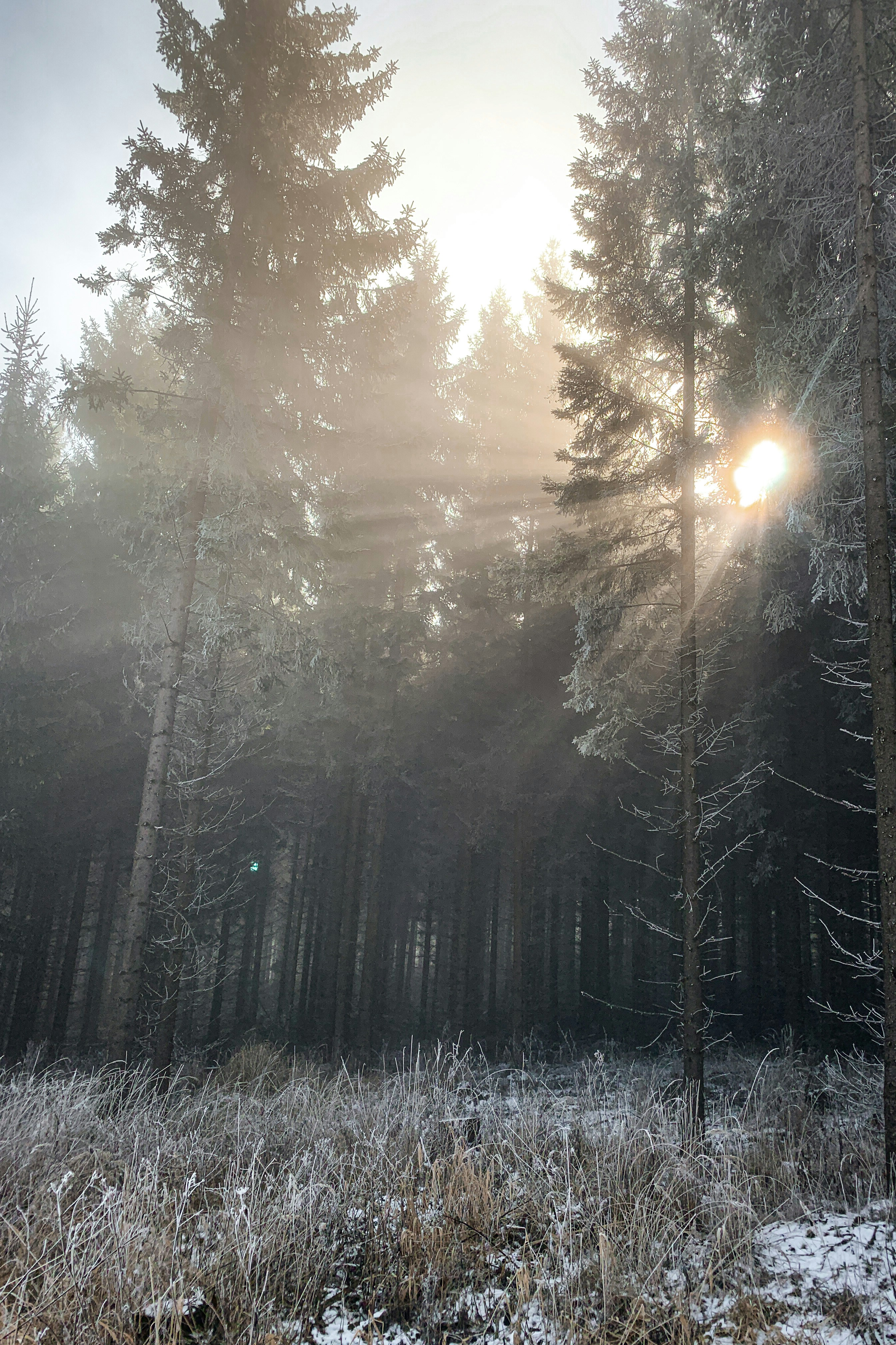 Photo by kekse_und_ich