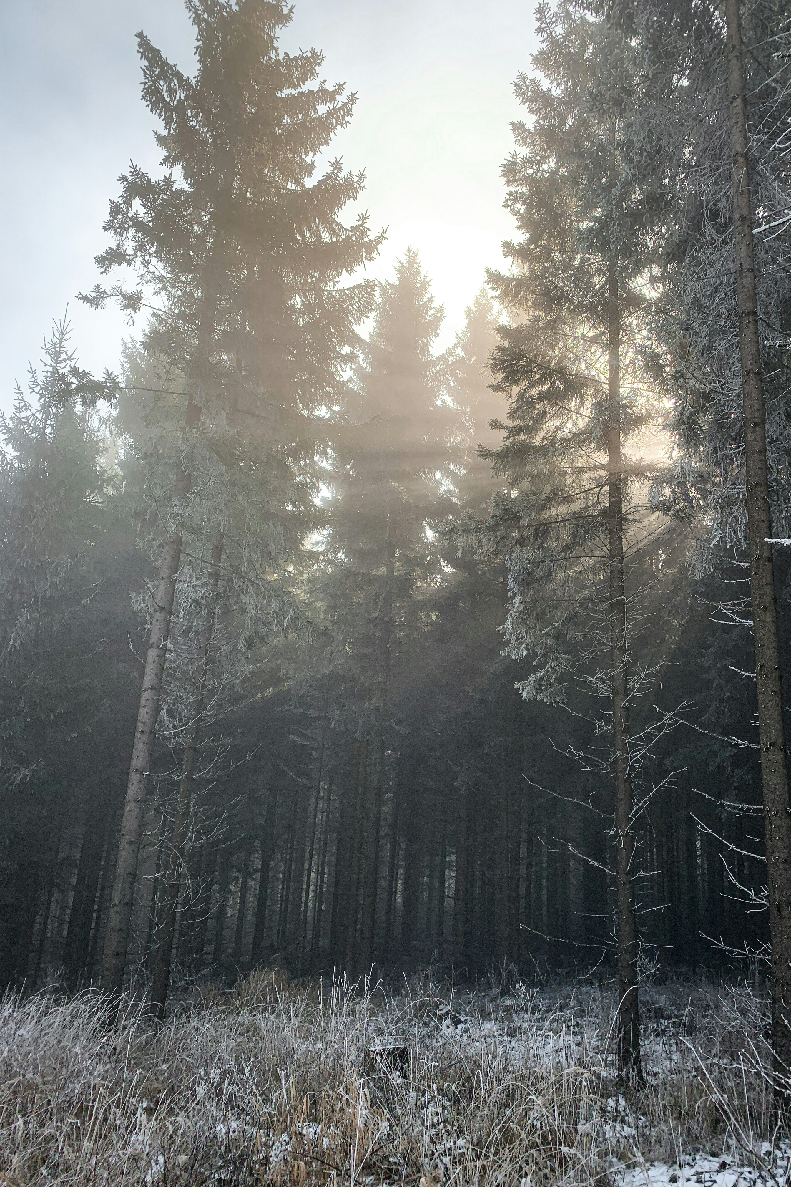 Photo by kekse_und_ich