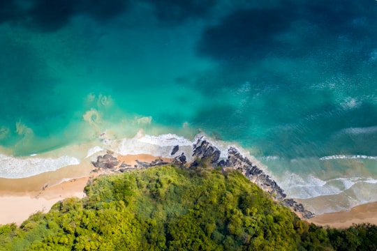 green trees on mountain under blue sky during daytime in Teneguiban Philippines