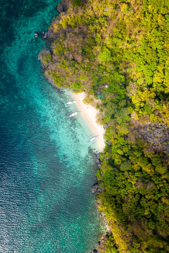 aerial view of green trees beside body of water during daytime in El Nido Philippines