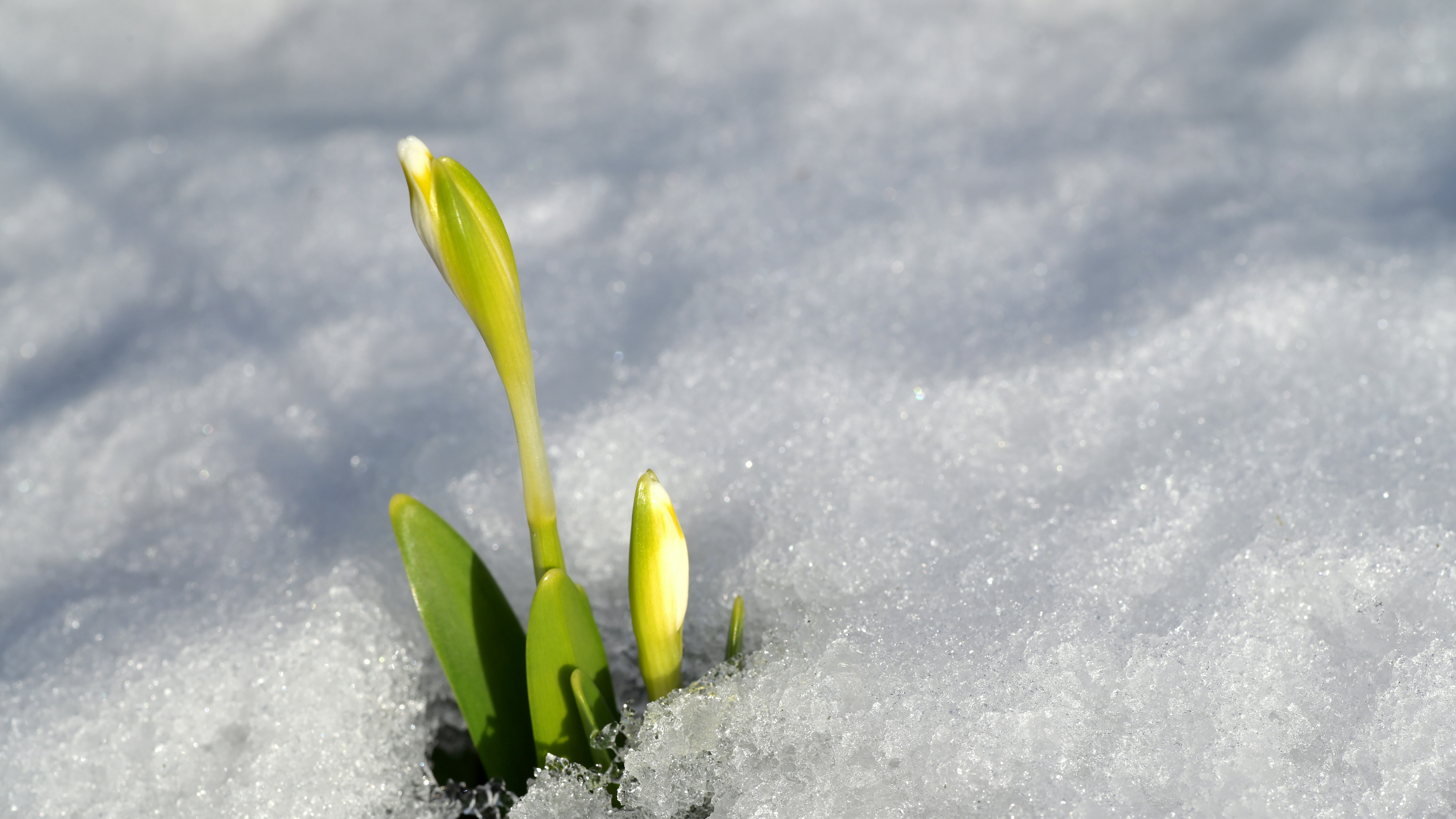 Photo by johnmcclane