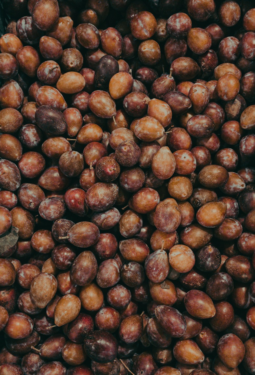 brown and black beans in close up photography