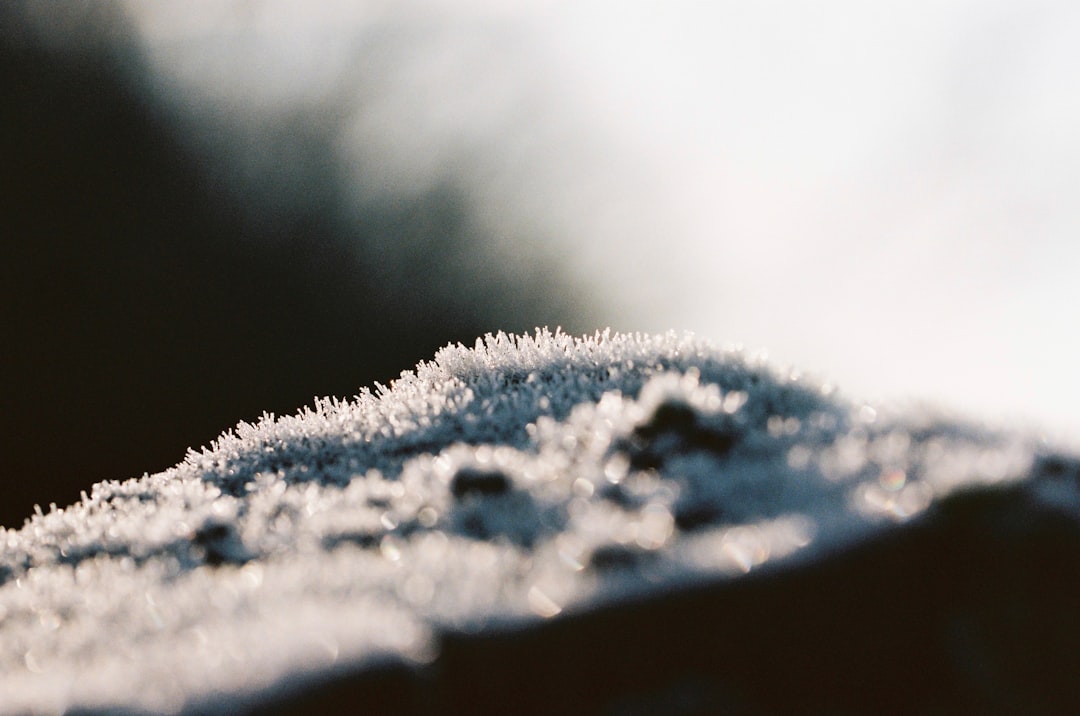 Frosty ice morning sunrise. Made with Leica R7 (Year: 1994) and Leica APO Macro Elmarit-R 2.8 100mm (Year: 1993). Analog scan via nimmfilm.de: Fuji Frontier SP-3000. Film reel: Kodak Portra 400