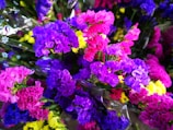 A vibrant assortment of colorful flowers, featuring hues of purple, pink, yellow, and blue. The flowers appear to be wrapped in a translucent plastic material, with some smaller white floral patterns visible.