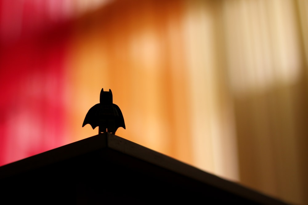 silhouette of bird on top of brown wooden shelf