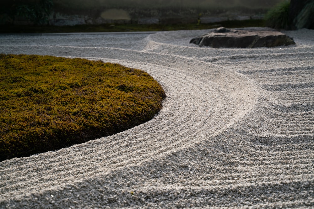 Weißer Sand in der Nähe von grünem Grasfeld tagsüber