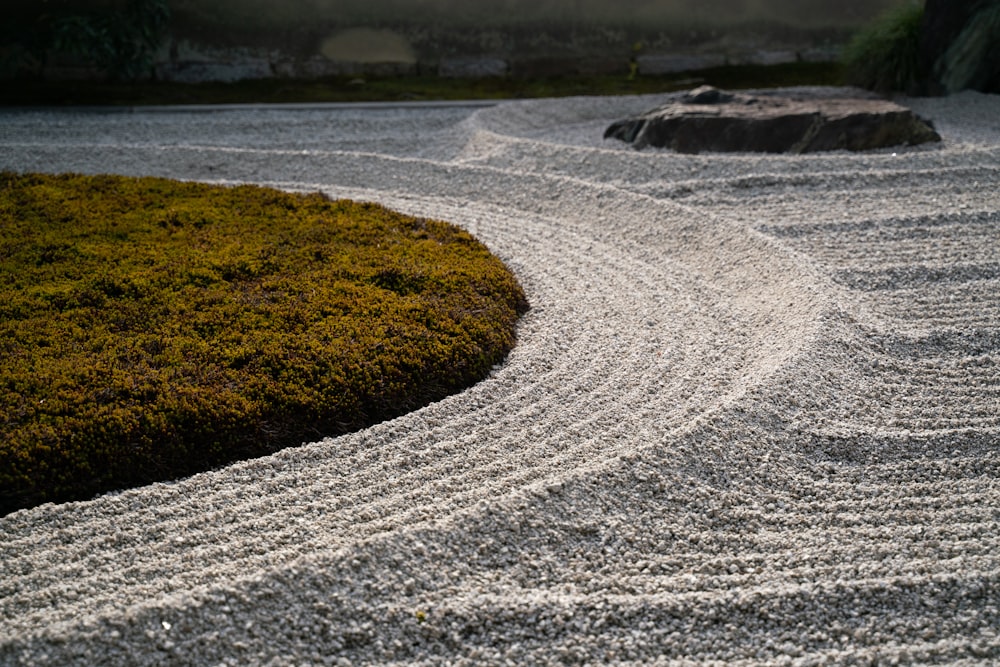 white sand near green grass field during daytime