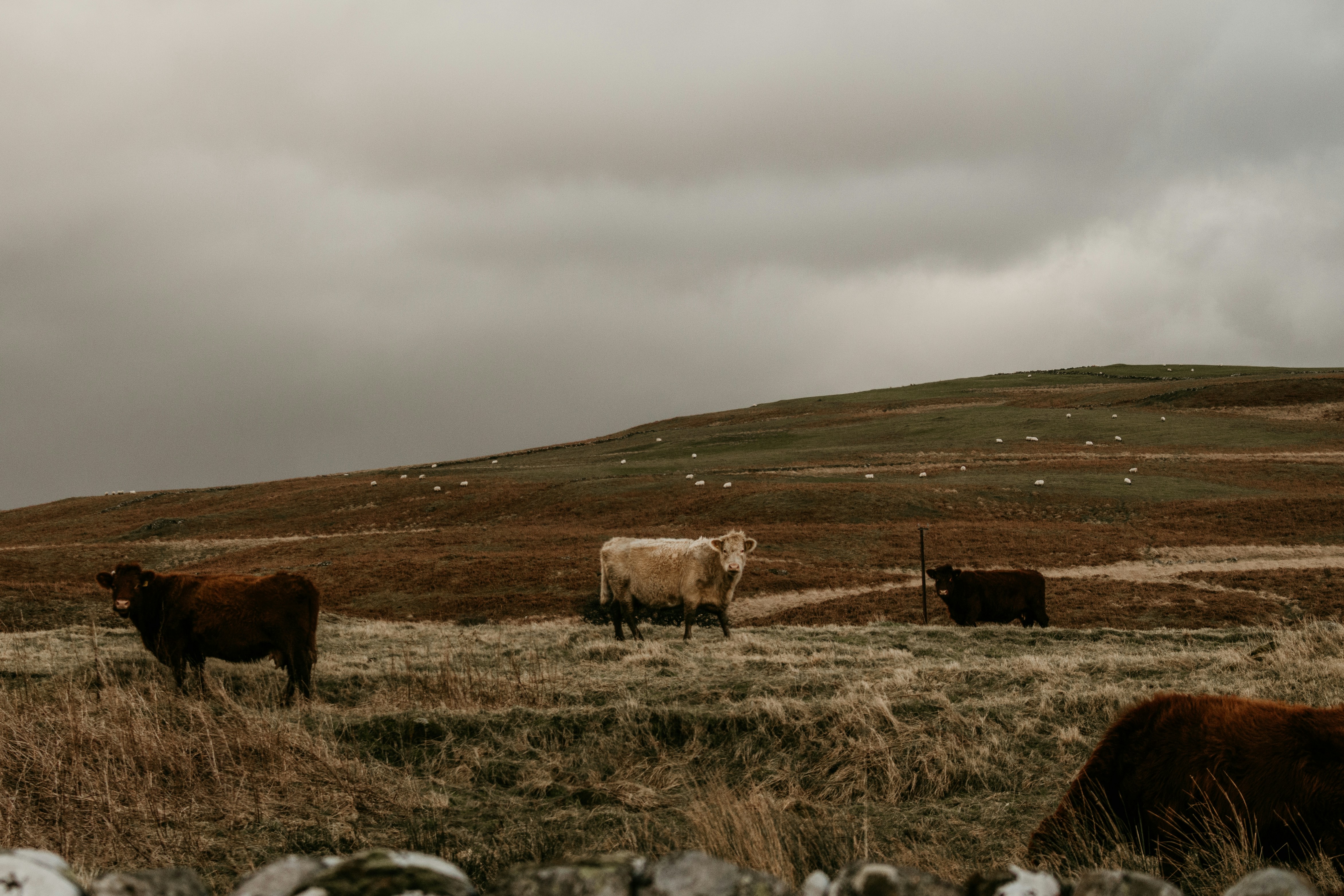 Photo by nathanmcdine