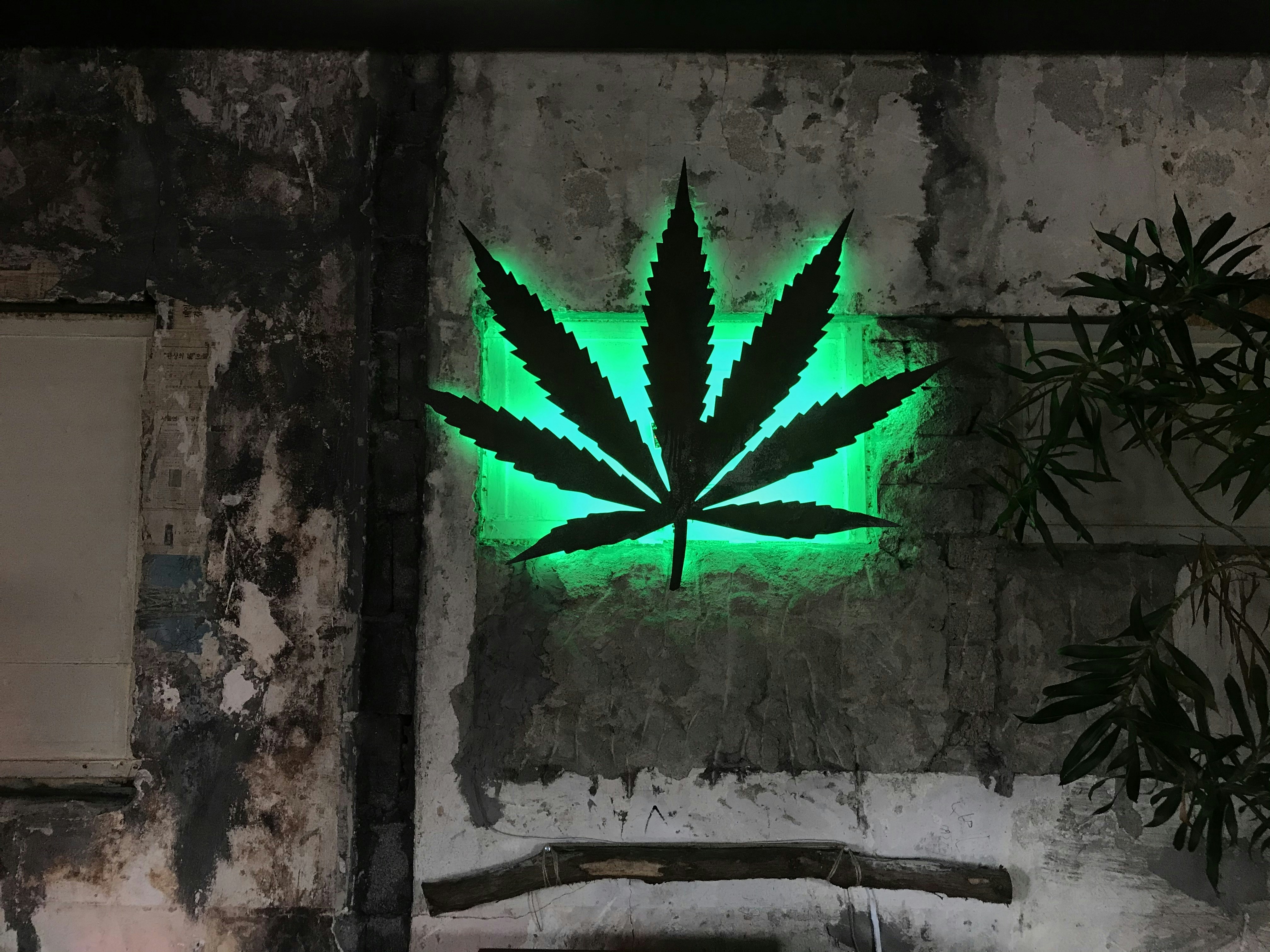 photo-1583158165309-83c88bfdfd2e?ixid=M3