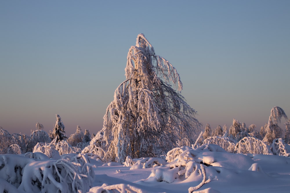 brown rock formation covered with snow during daytime