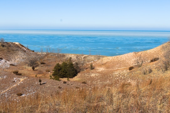 A scenic landscape featuring sand dunes and dry vegetation in the foreground, with a vast body of water stretching towards the horizon under a clear blue sky. Sparse trees and shrubs dot the sandy terrain, creating a natural and open environment.