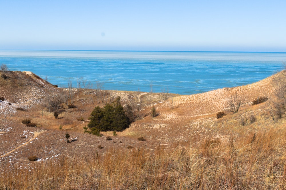 Campo de hierba marrón cerca del Mar Azul durante el día