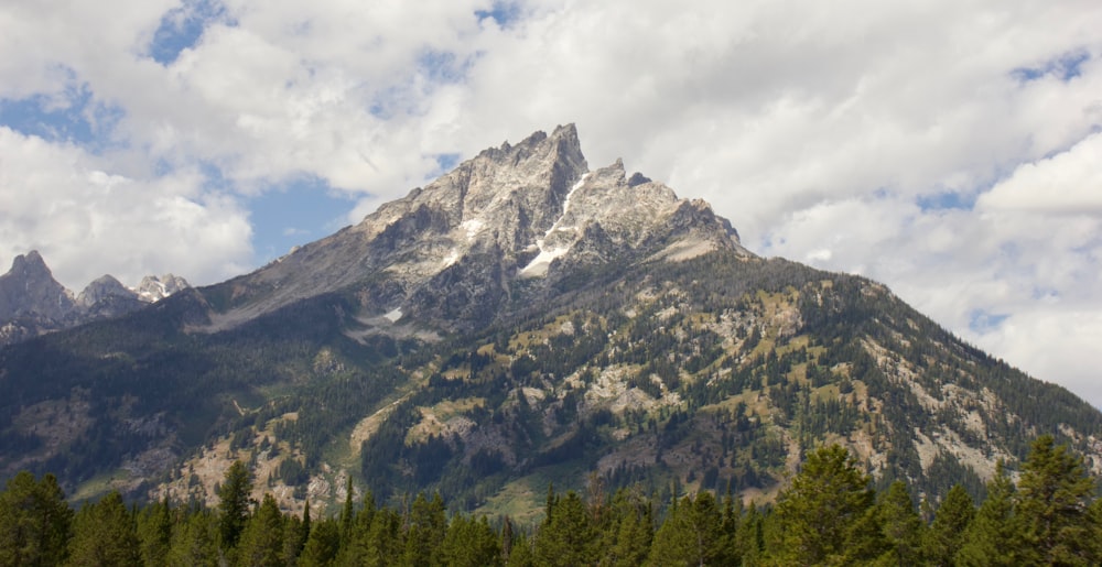 árboles verdes cerca de la montaña bajo nubes blancas durante el día