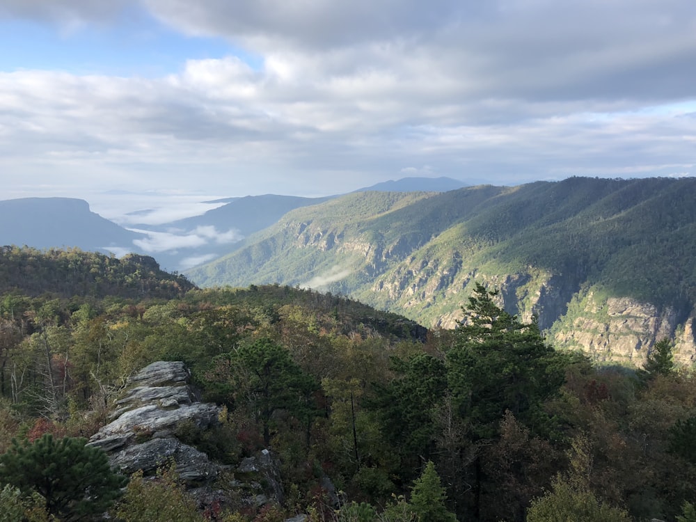 green trees on mountain under white clouds during daytime