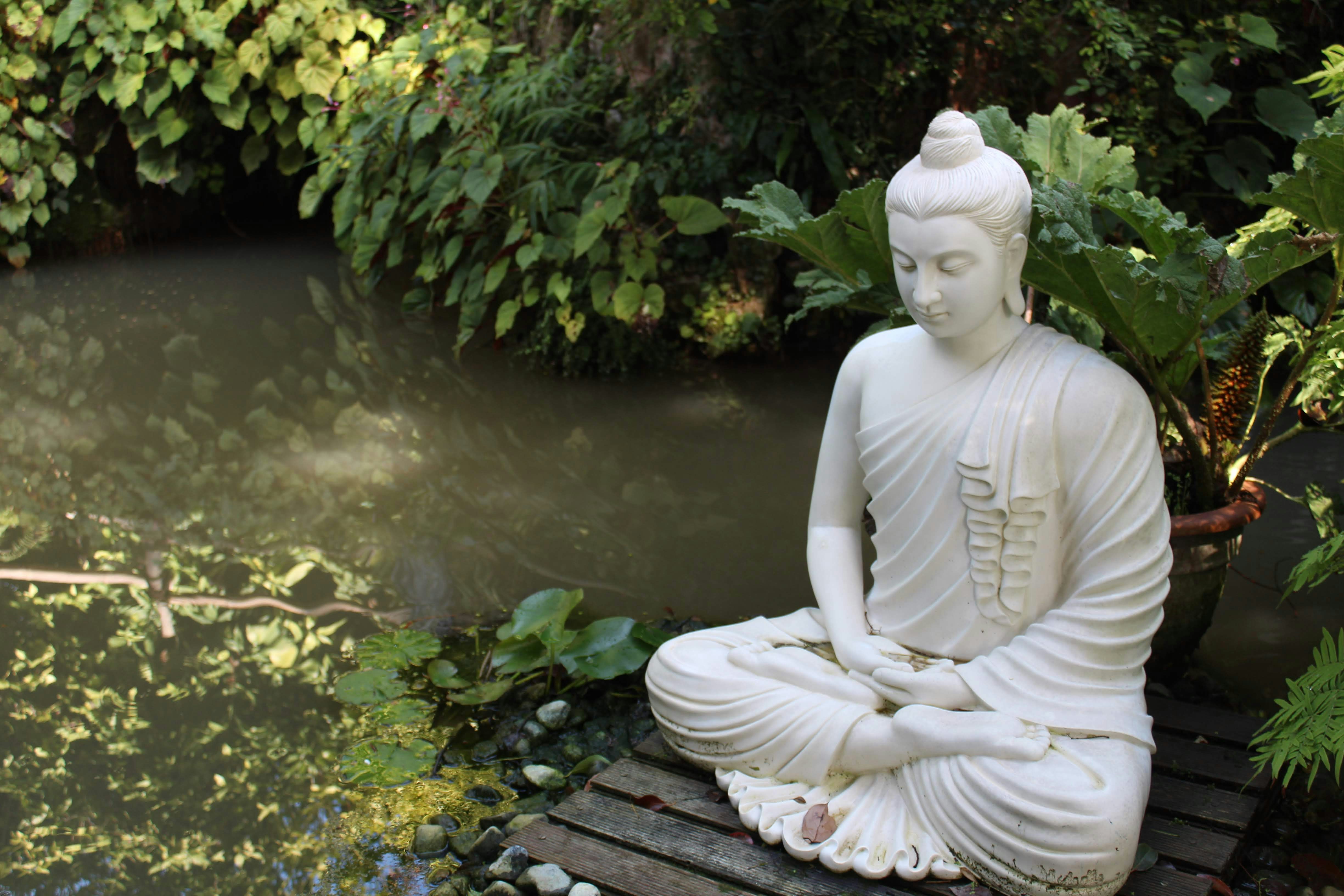 photo 1583160557748 15696be312b8?ixlib=rb 4.0