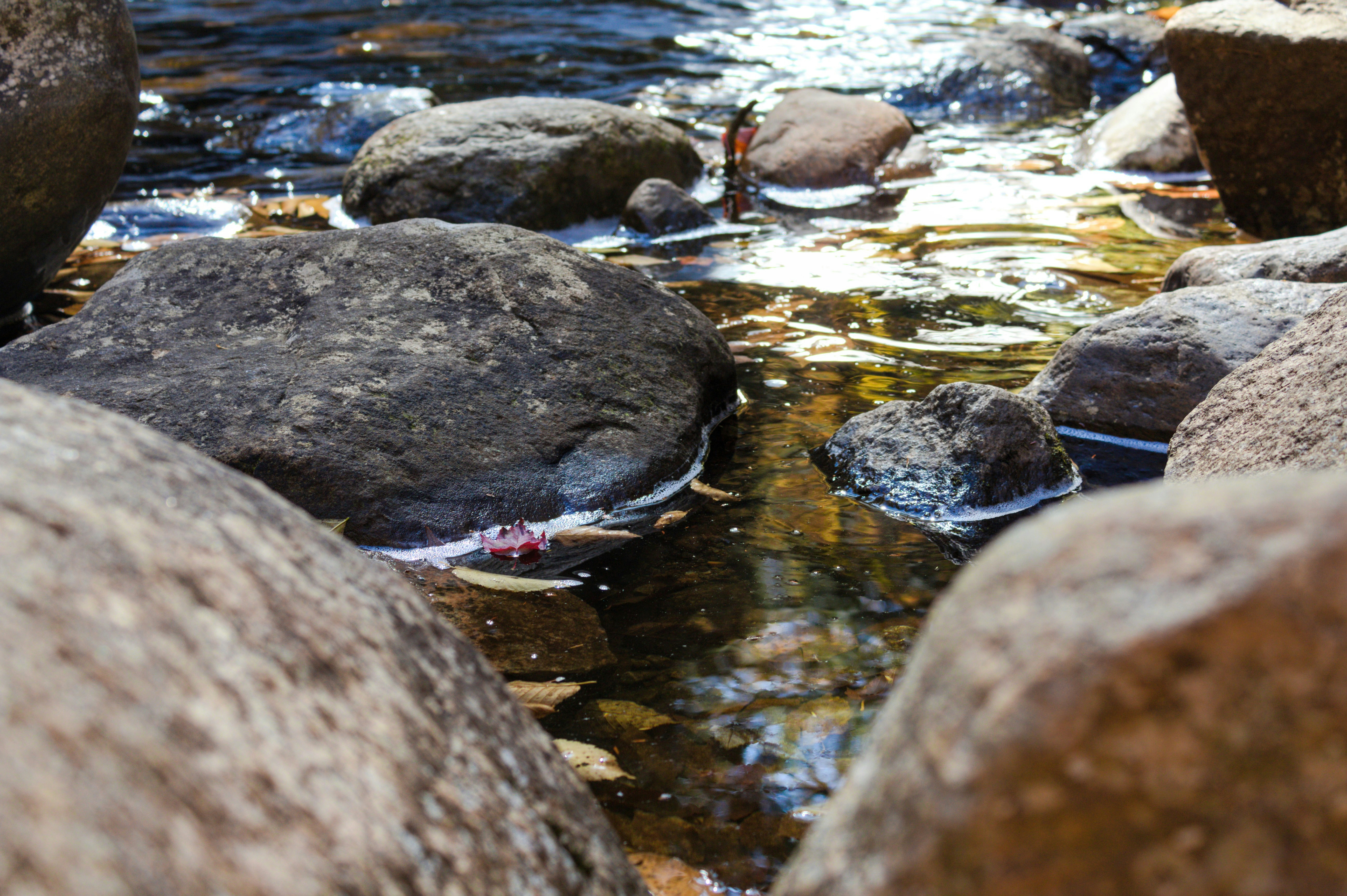 gray and black stones on water