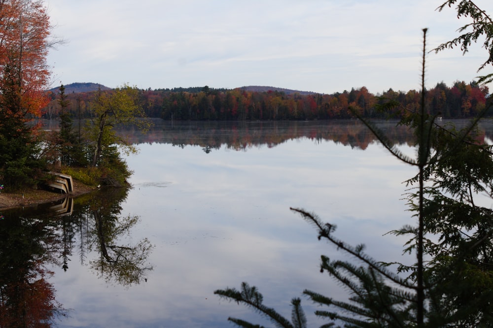 green trees beside lake under white clouds during daytime