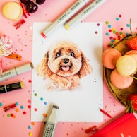 A watercolor portrait of a fluffy dog with a happy expression is surrounded by art pens, colorful confetti, and several macarons on a pink background. Strawberries and cherries add a fresh touch, with small red clothespins scattered around.