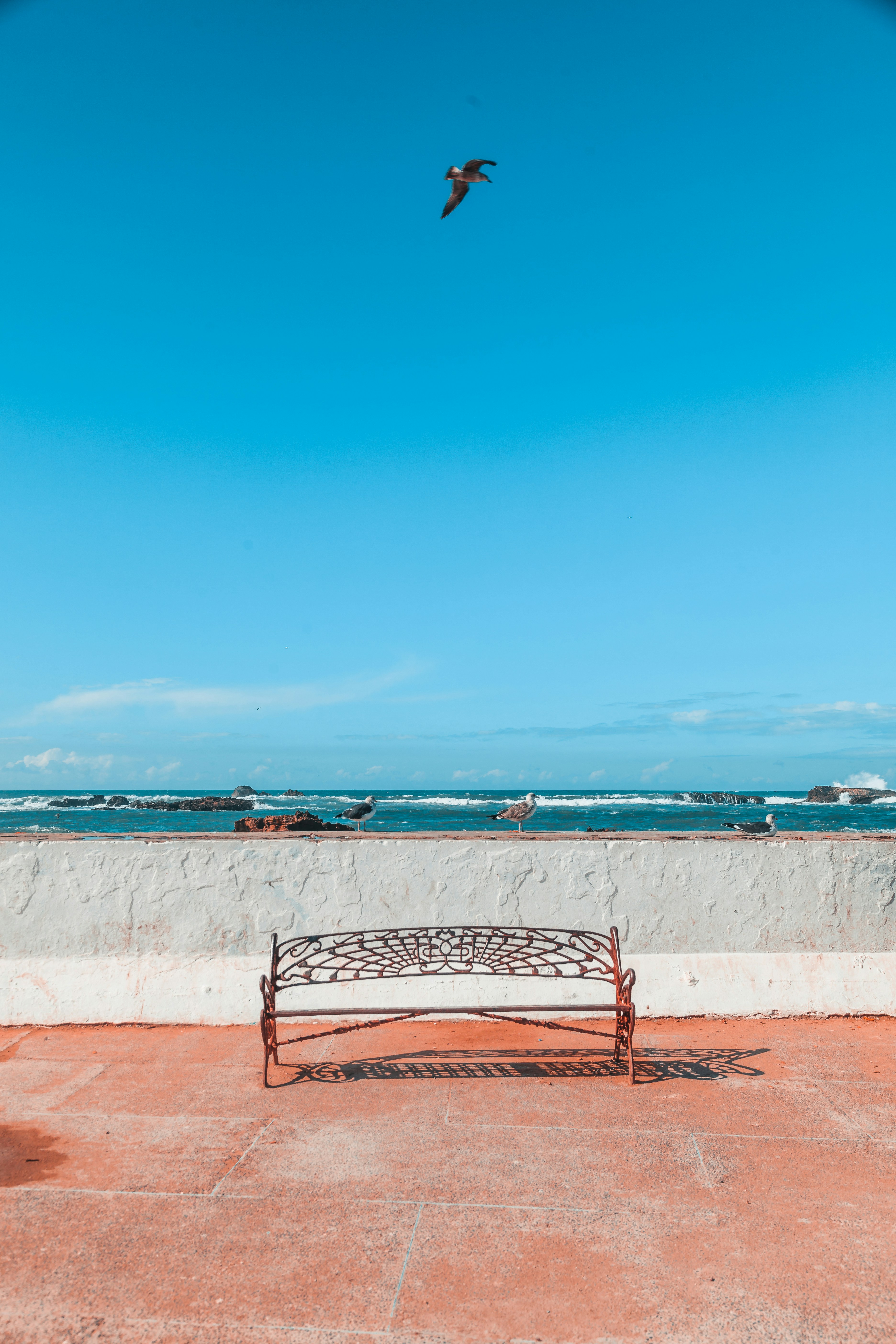 blue and white lounge chairs on beach during daytime