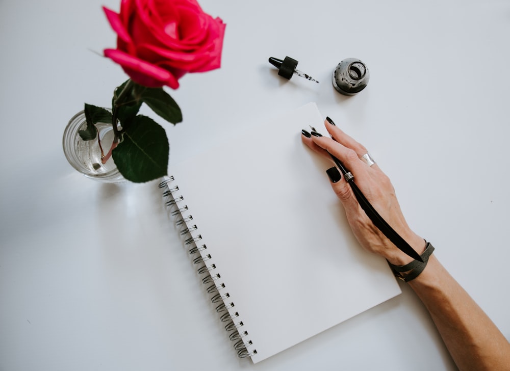 Persona sosteniendo rosa roja y cuaderno de espiral blanco