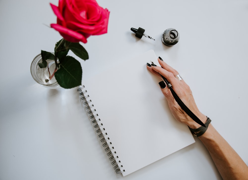 person holding red rose and white spiral notebook