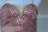 A detailed view of a pink garment adorned with intricate lace and an array of colorful gemstones. The gems include shades of red, pink, and silver, arranged symmetrically along the neckline, with a gold trim outlining the edges.