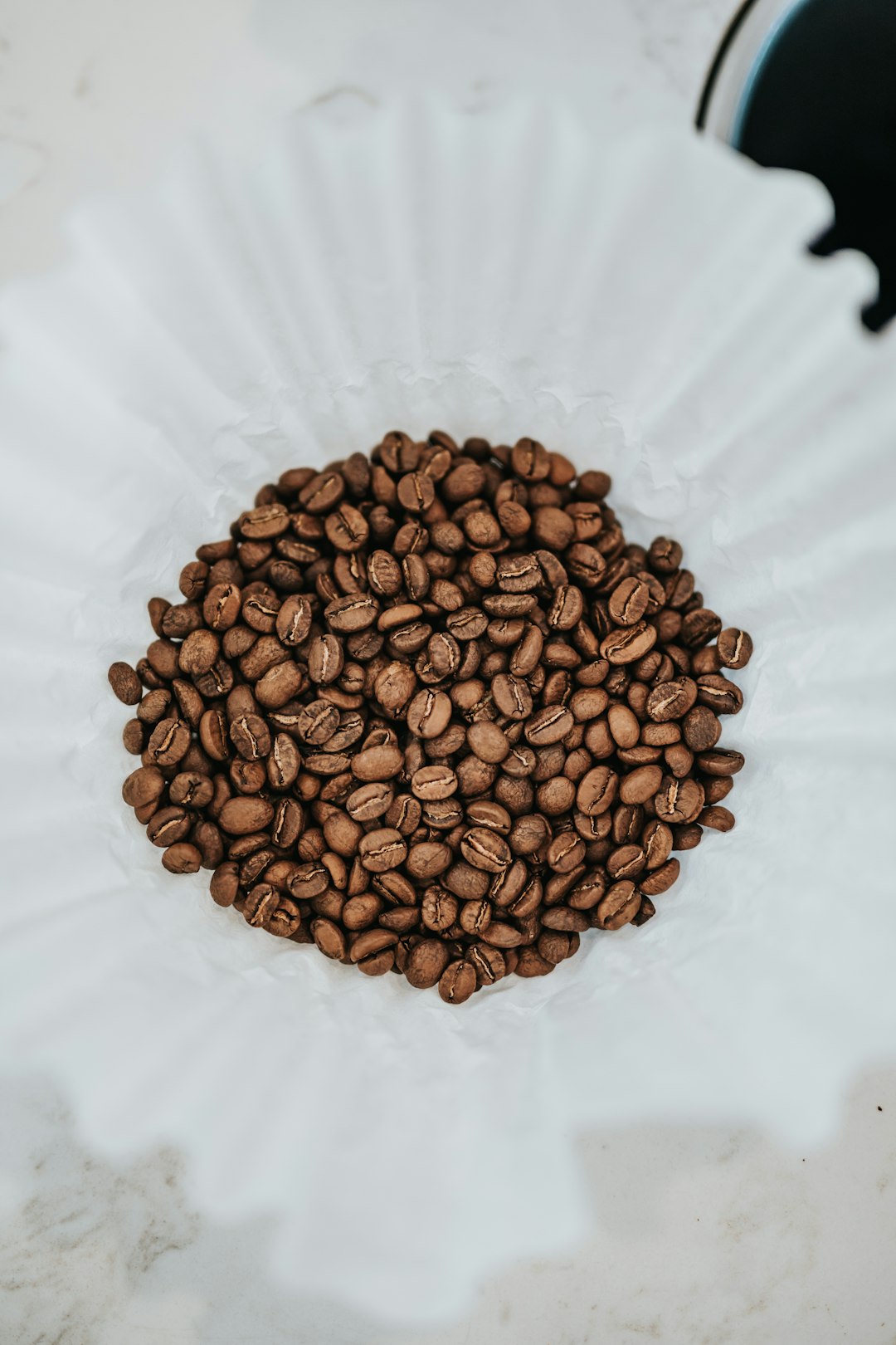 brown coffee beans on white textile