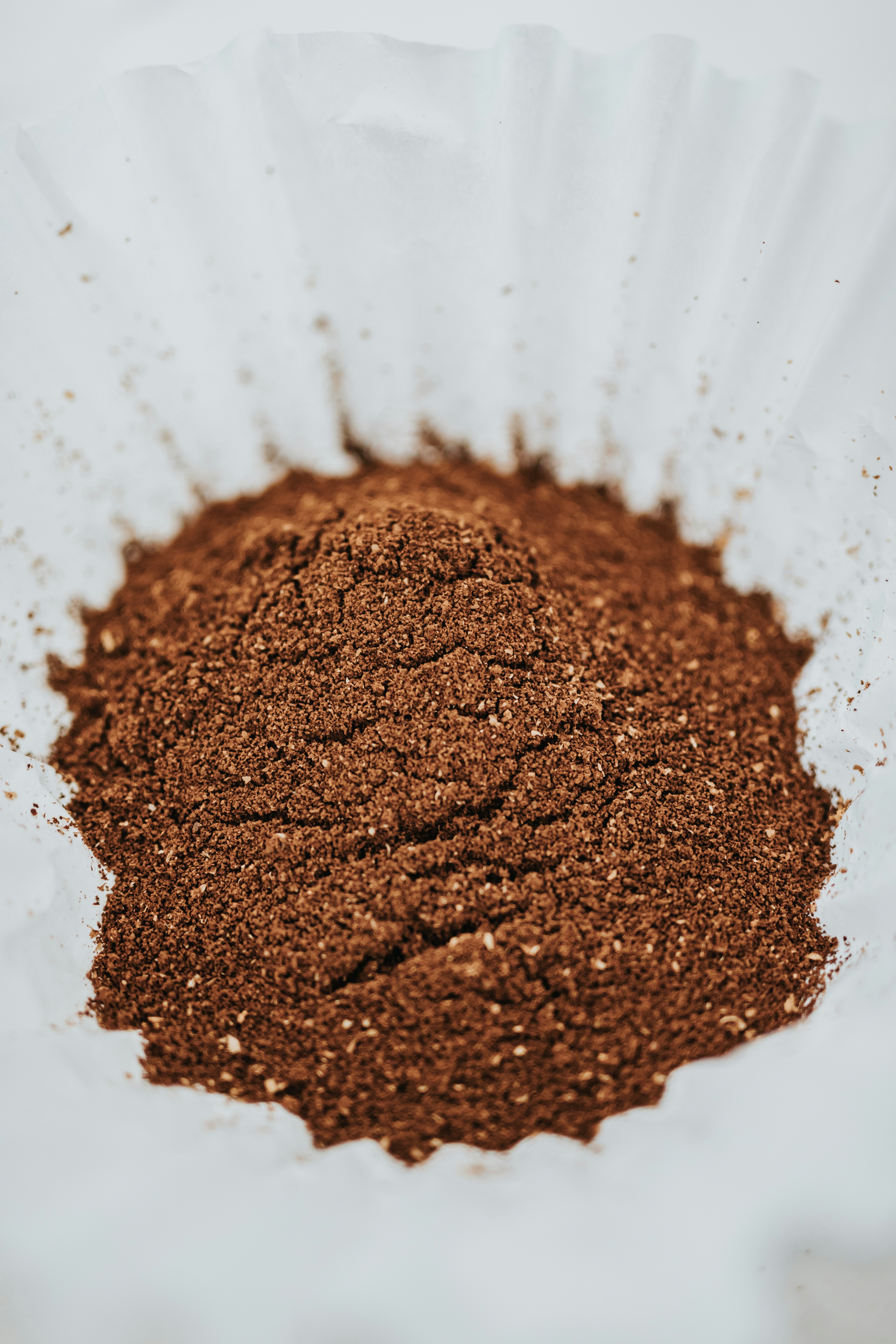 photo-1583165583100-1053f7ae45b9?ixid=M3wxMjA3fDB8MXxzZWFyY2h8MjB8fHZlZ2FuJTIwY2hvY29sYXRlJTIwcHJvdGVpbiUyMHBvd2RlcnxlbnwwfHx8fDE3NTg2NDQ5Mzl8MA\u0026ixlib=rb-4.1.0