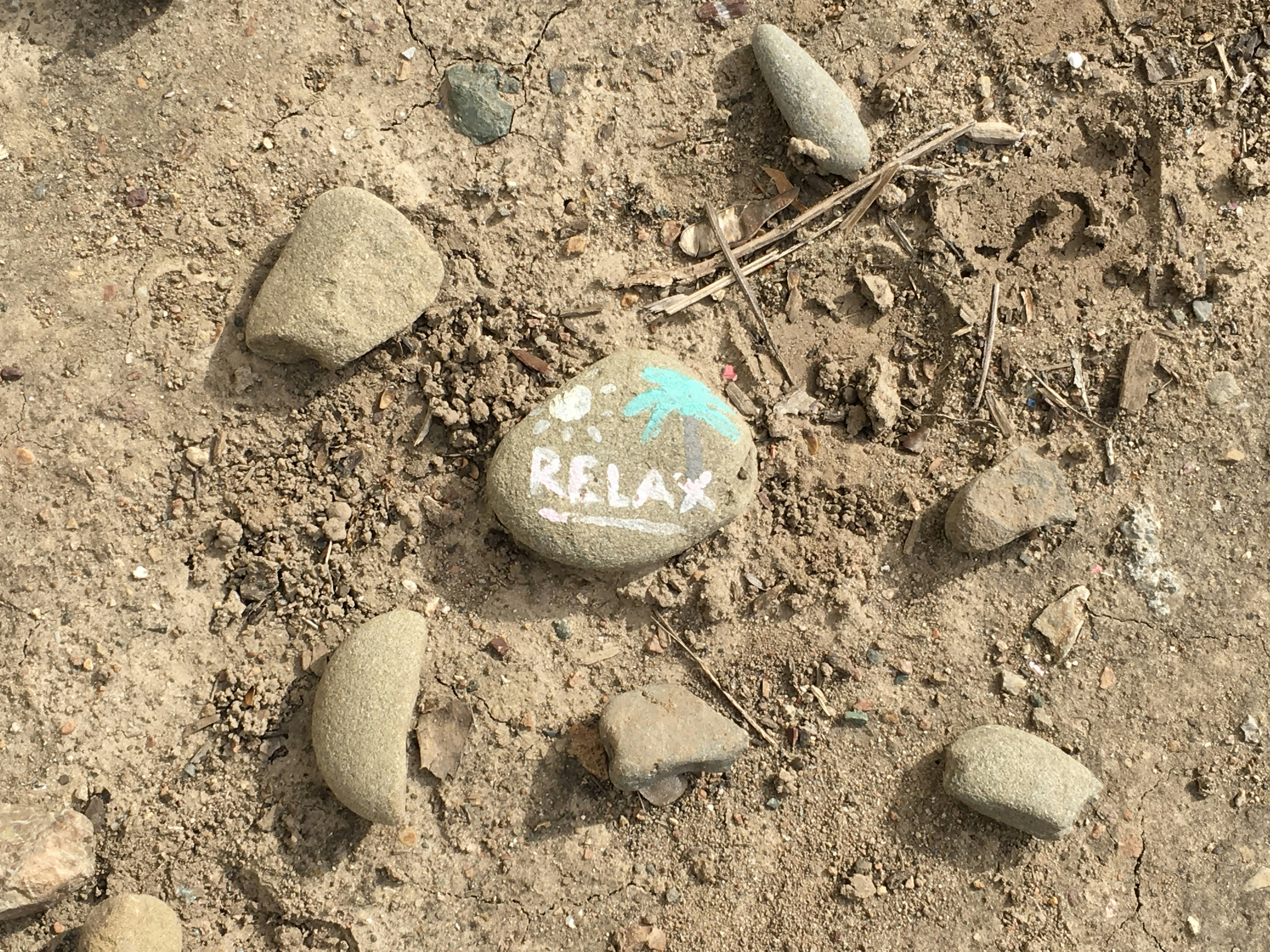 photo 1583166675974 494f6b5341c1?ixlib=rb 4.0