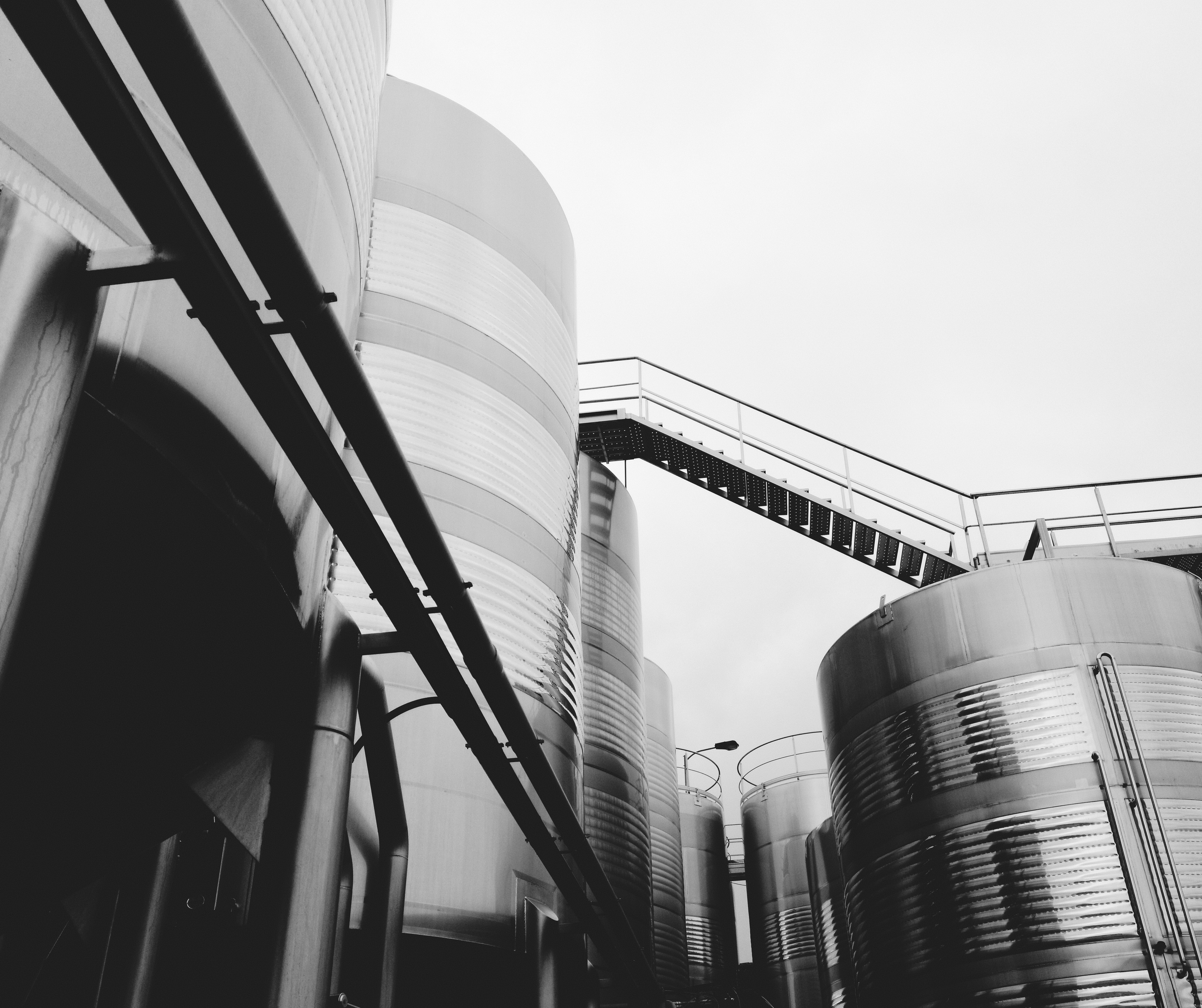 Build Your Brewery Website