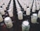 A large collection of glass bottles arranged in rows, each with a beige paper label around the neck featuring a stylized design and text. The tops of the bottles are sealed with metallic caps.