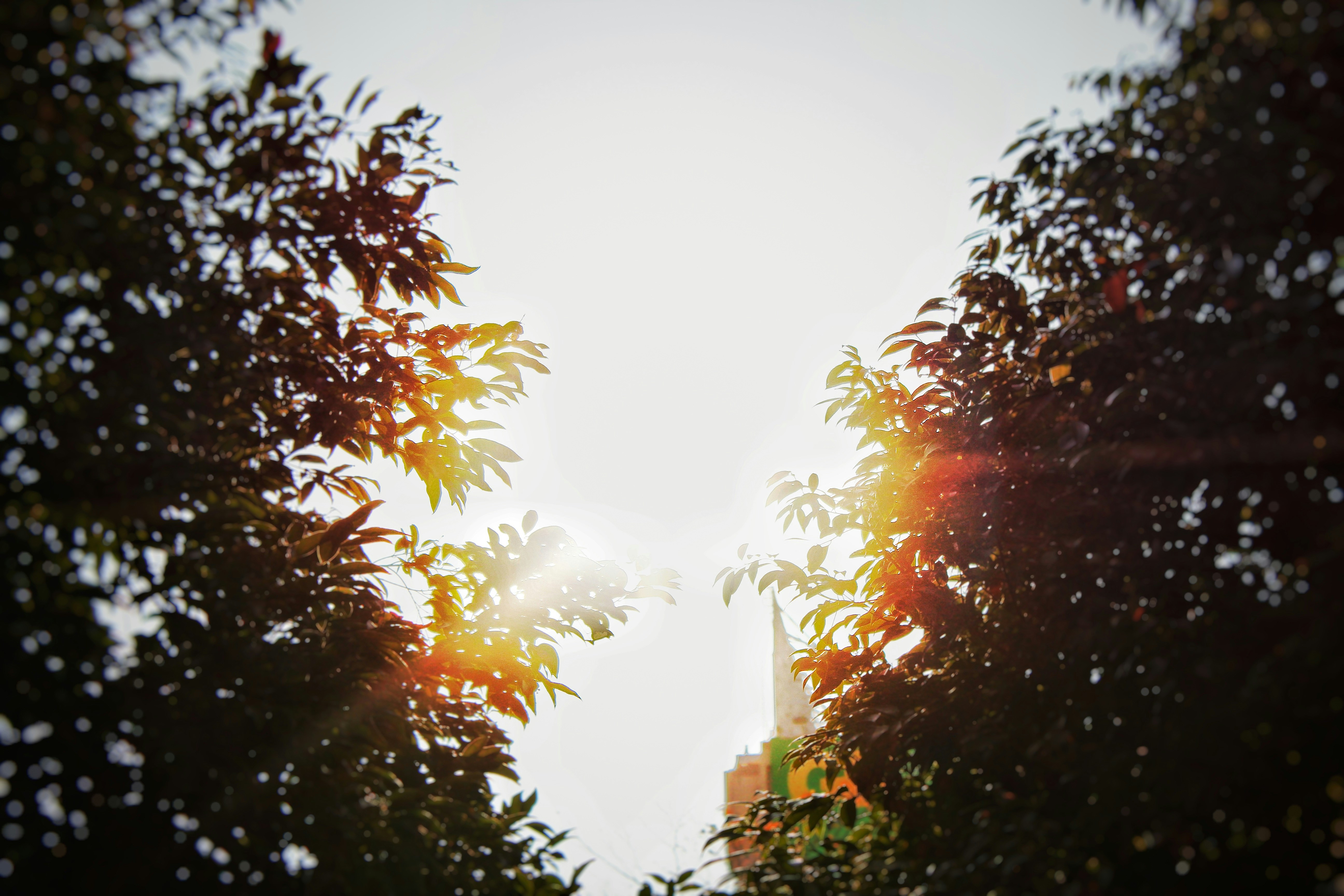 Photo by jaychan1203