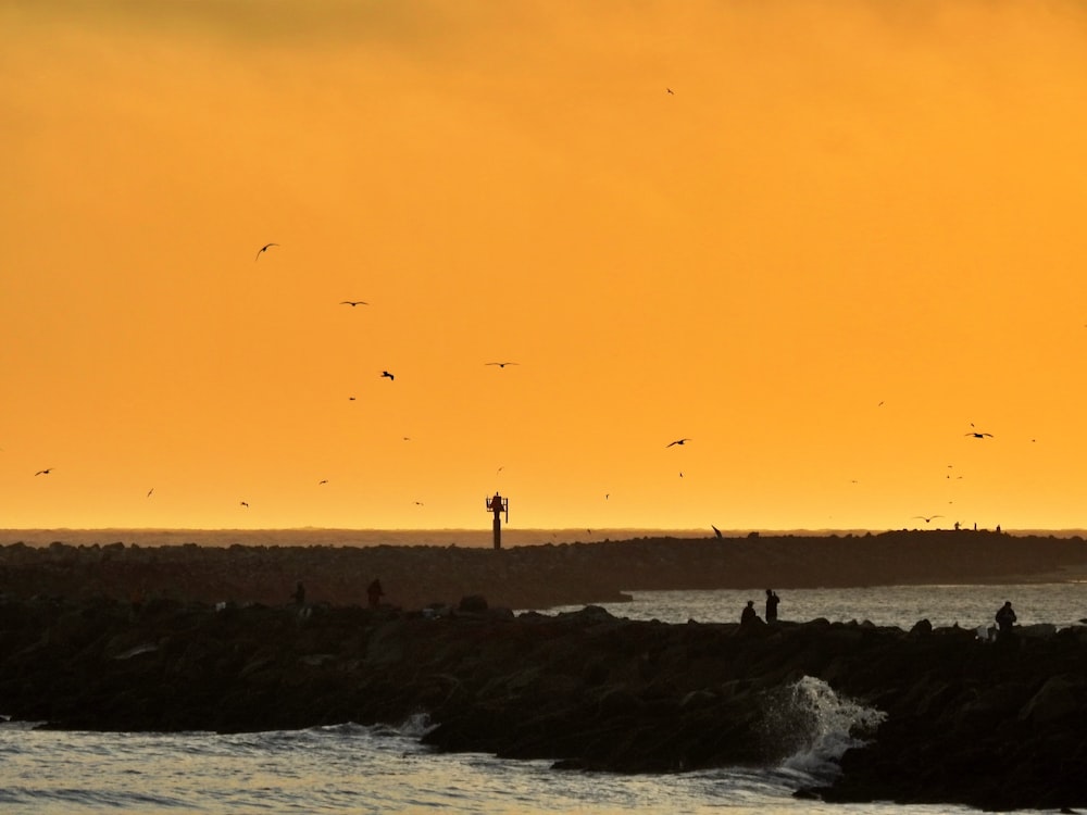 silhouette of person standing on rock formation near body of water during sunset