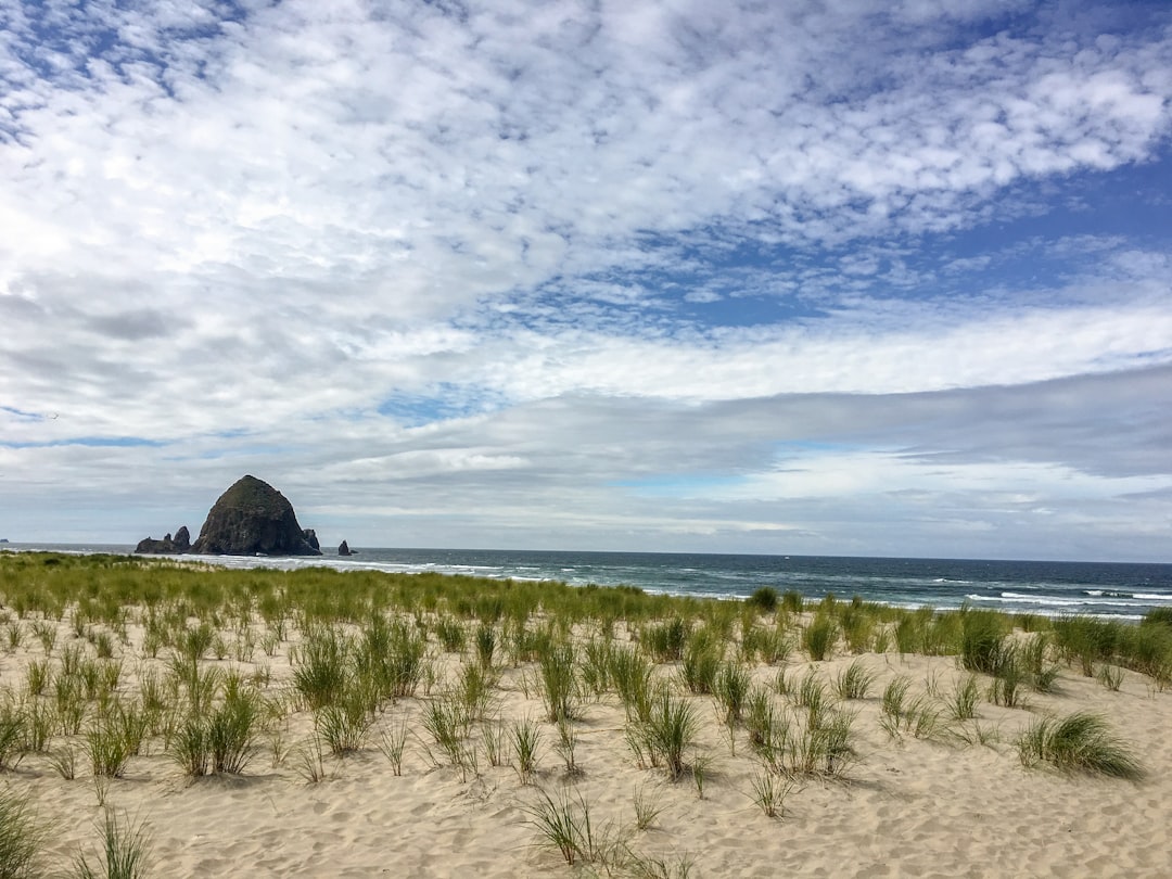Cannon Beach - From Sand Beach Entrance, United States