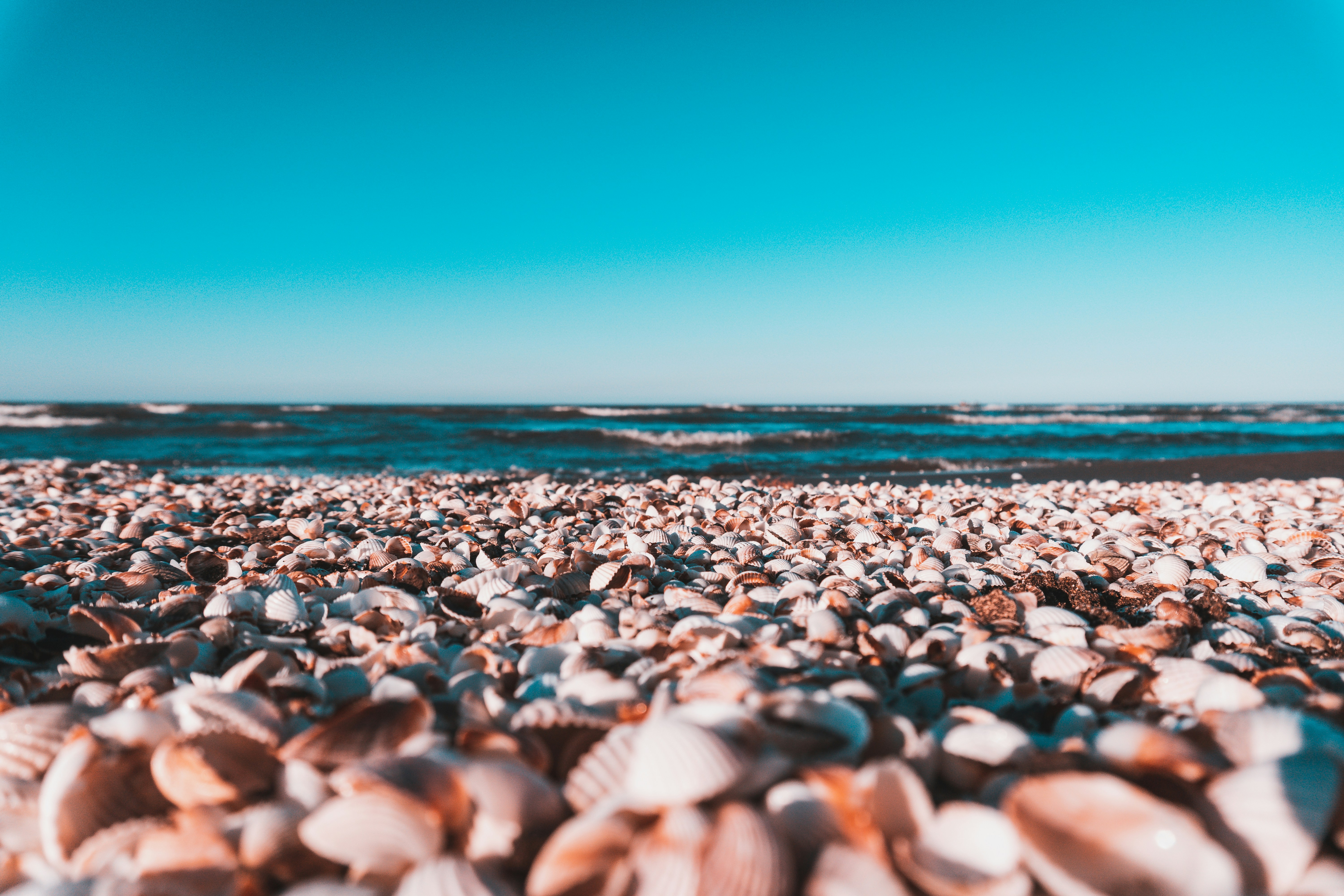 white and black stones on beach during daytime