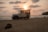 A rugged Jeep parked on a sandy beach at sunset.