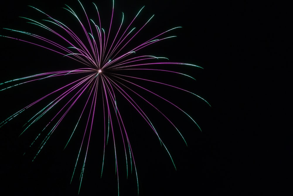 white and pink fireworks in the sky