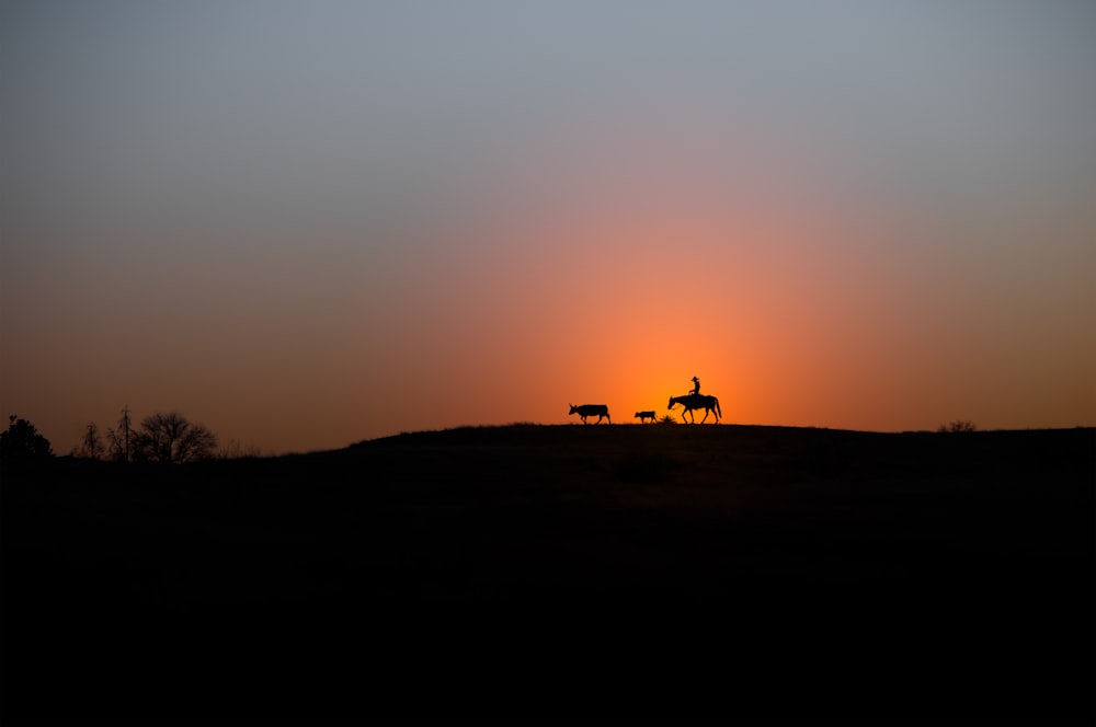 silhouette of people on hill during sunset