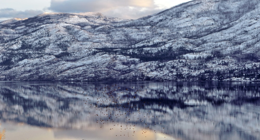 white and black mountain near body of water during daytime